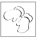 05007ft2-c9d4-119x123.png