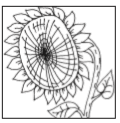 05007fvl-47ee-120x123.png