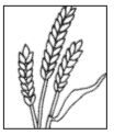 05007fvv-3db7-104x123.png