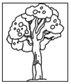05007fwb-7308-102x120.png