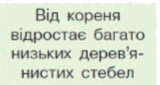 05007gcv-248e-160x85.png