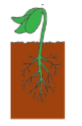 05007gm7-20eb-82x126.png