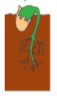 05007gmz-442e-57x99.png