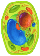 05007gte-b50e-140x198.png
