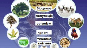 Вступ до біології 9 клас