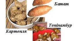 9. Бульбоплоди: товарознавчо-технологічна характеристика, механічна кулінарна обробка і нарізування.