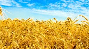 Малюнки для наших захисників