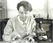 https://history.vn.ua/pidruchniki/ostapchenko-biology-and-ecology-10-class-2018-standard-level/ostapchenko-biology-and-ecology-10-class-2018-standard-level.files/image125.jpg