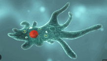 05007o6c-28d5-218x126.png