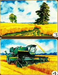05007os8-82c1-381x490.png