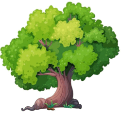 05007pl9-8c30-251x241.png