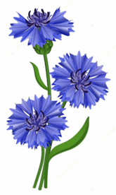05007psl-4cb3-165x276.png