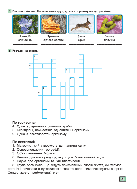 05007qno-f53a-556x768.png