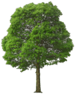 05007rb5-8f3f-110x135.png