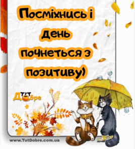 05007rut-834b-268x296.png