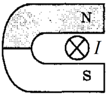 05007sth-9875-218x195.png