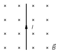 05007xsw-4577-206x185.png