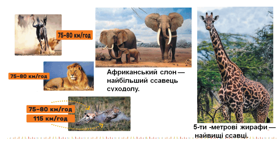 05007zib-b862-940x488.png