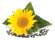 050081p0-f242-55x40.png