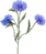 050081rj-77eb-42x49.png