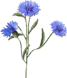 050081rj-77eb-42x49.png