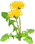 050081rz-5ba0-35x44.png