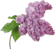 050081sm-de9e-80x72.png