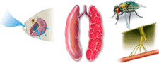 050081u0-aab9-225x90.png