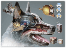 050082j6-4101-221x162.png