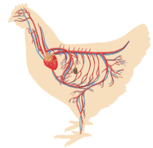 050083ab-dcc5-221x214.png