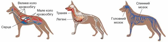 05008535-6bde-659x165.png