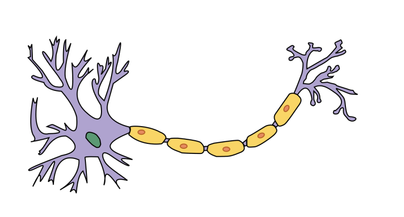 0500861p-af64-800x430.png