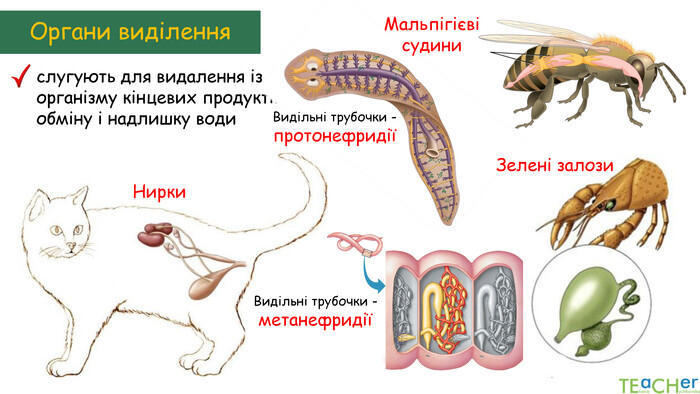 05008642-b80f-700x394.jpg
