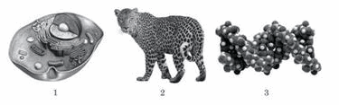 0500866y-6ba1-375x117.png