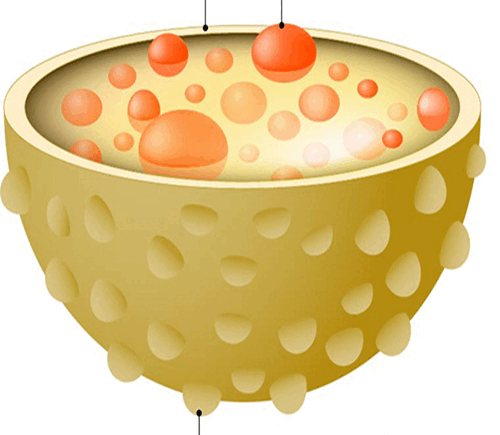 05008677-9892-500x435.png