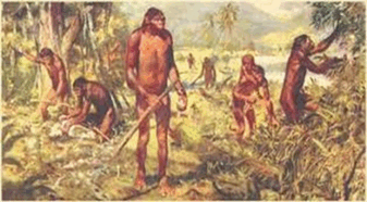 050086xe-302d-337x186.png