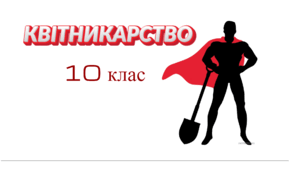 Хризантеми 