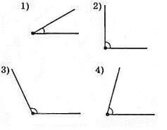 050089e4-f7e2-237x185.jpg