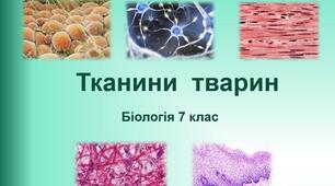 (Копія) Клітини і тканини тварин