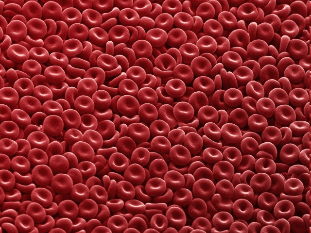 05008fr2-7b34-640x480.png