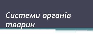 Презентація для 7 класу з теми "Системи органів тварин"