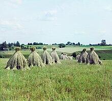 05008jdc-acda-220x198.jpg