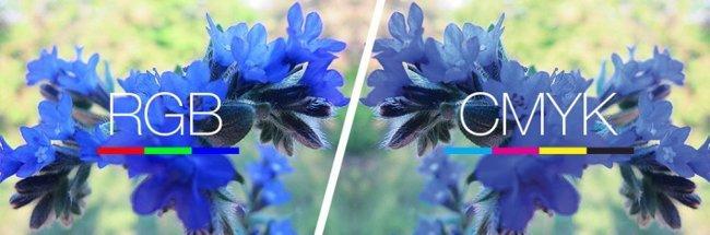 05008l1q-049d-650x215.jpg