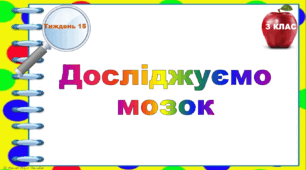Тематичні тестові завдання. 3 клас. Тиждень 15. "Досліджуємо мозок"