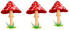 05008n6t-9f14-280x125.png