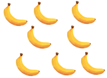 05008n7l-a269-362x266.png