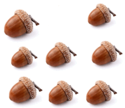 05008n7z-fc0d-251x216.png