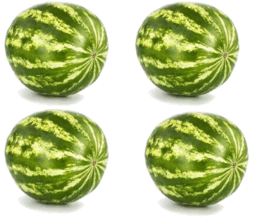 05008n8l-207d-258x217.png