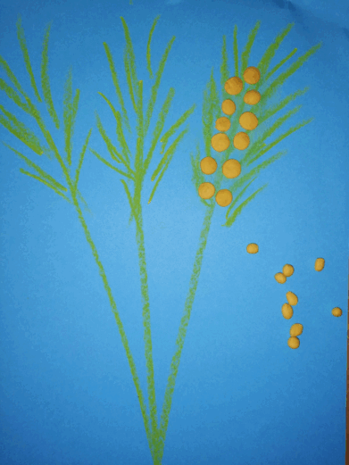 05008p99-c00b-391x521.png