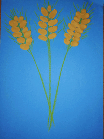 05008phv-0774-361x481.png